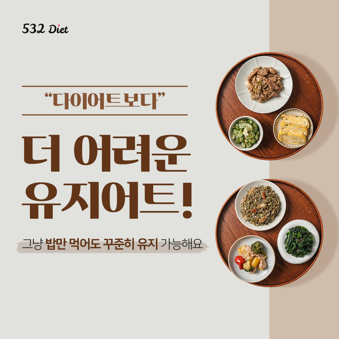 532Diet